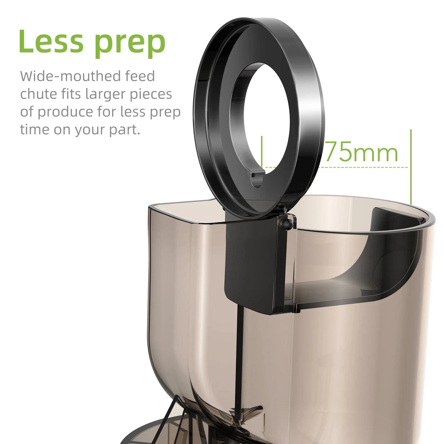 Cold Press Juicer