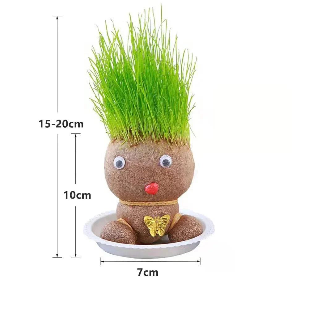 DIY Grass Growing Head Kit - Fun & Educational Indoor Planting for All Ages