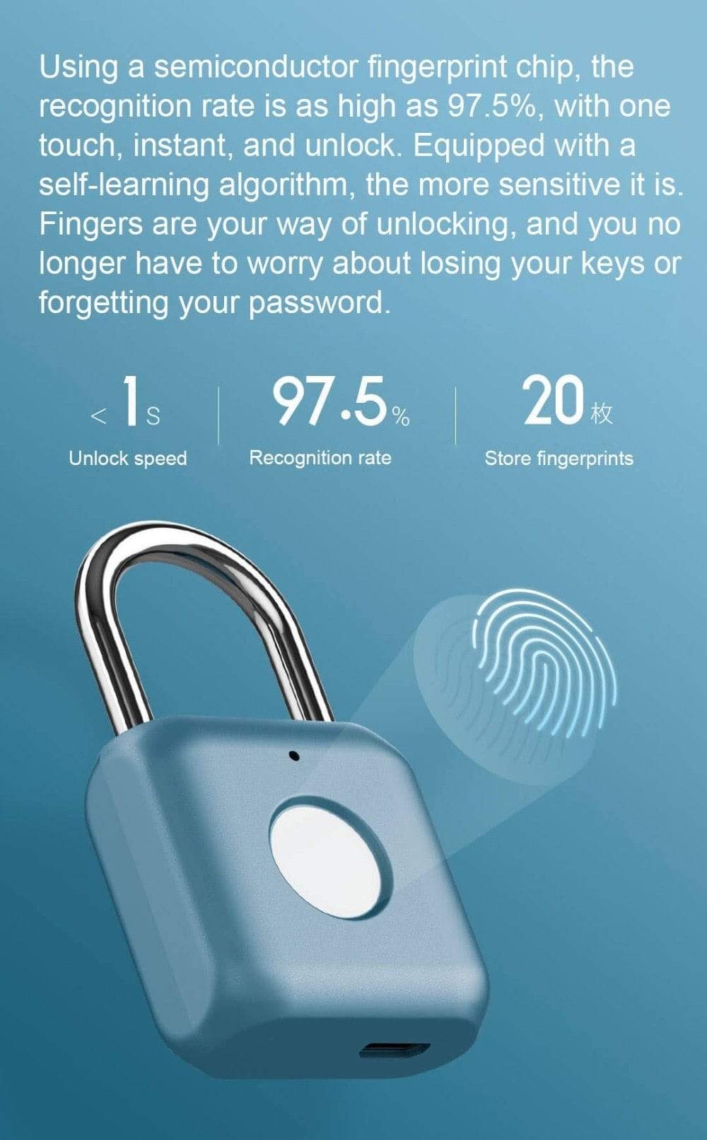 SearchFindOrder Gold Fingerprint Padlock