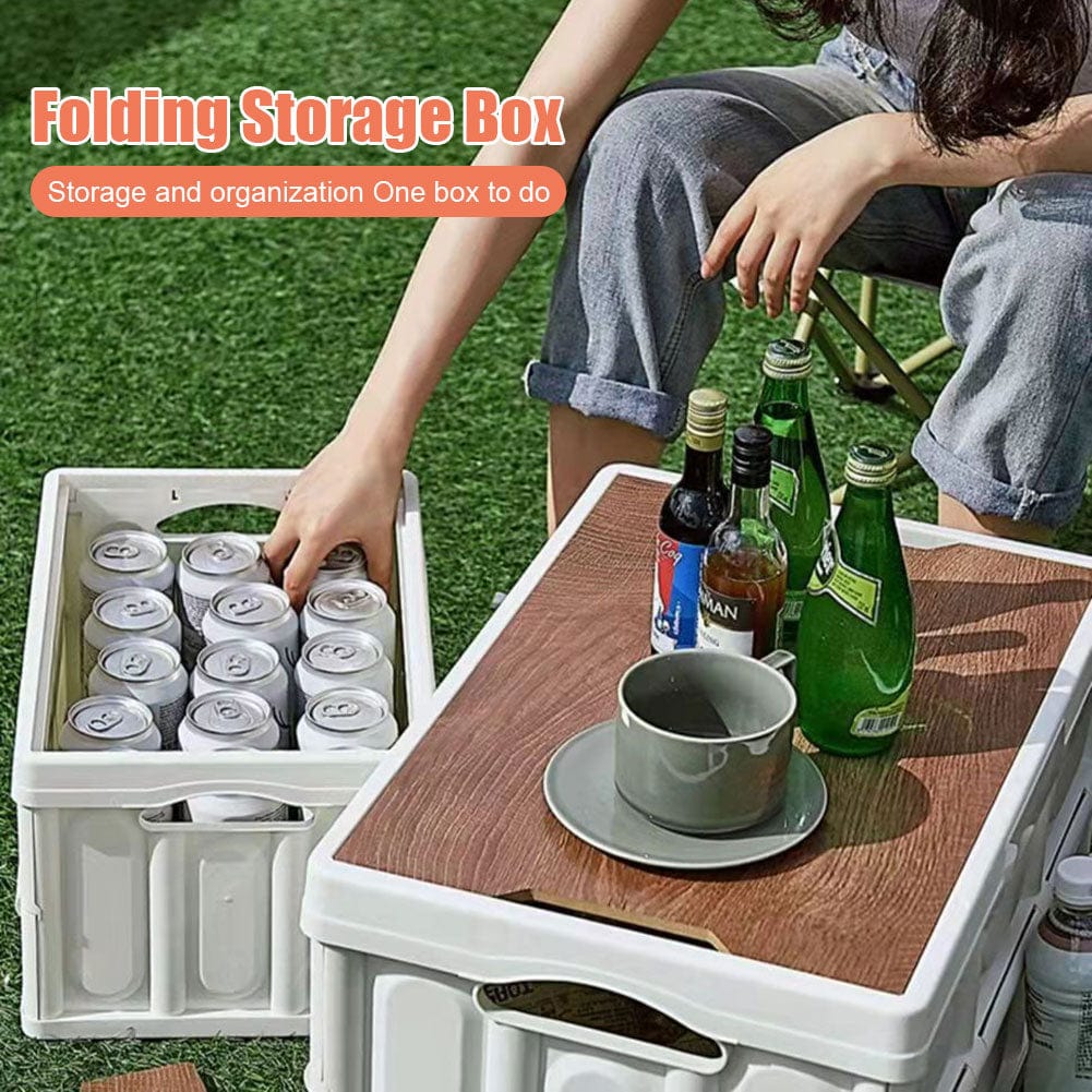 Foldable Car and Camping Storage Box