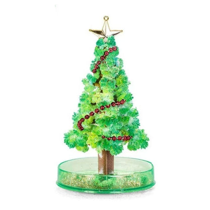 3-in-1 Magic Growth Christmas Tree Kit, DIY Festive Fun for Adults and Kids