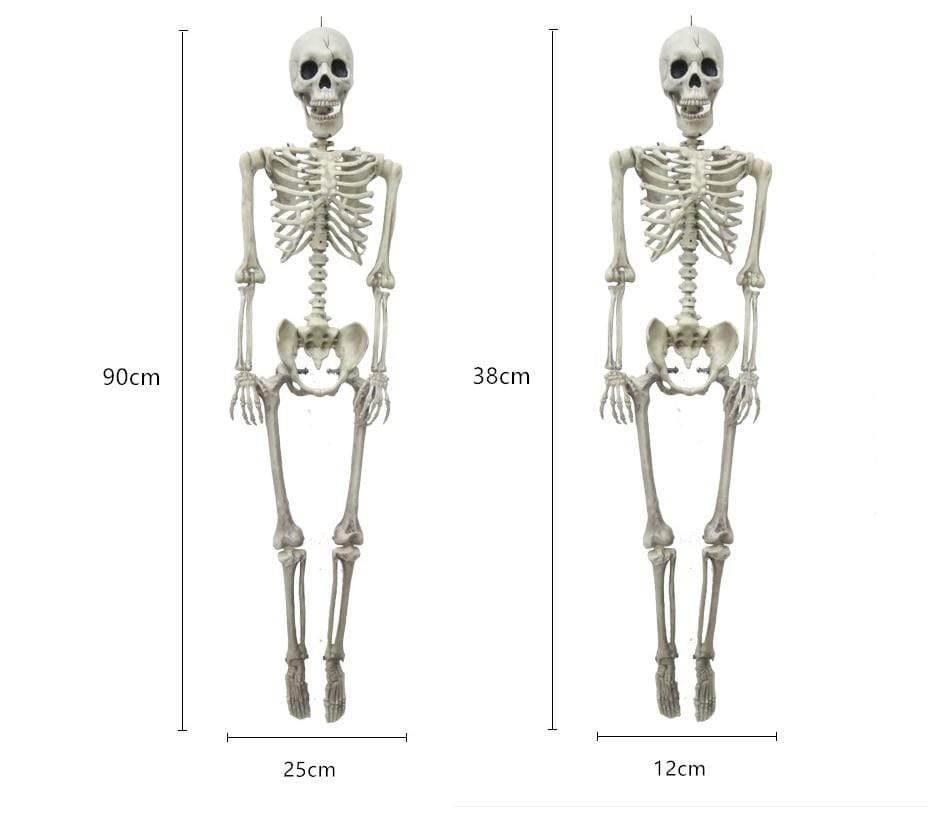 Halloween Skeleton Decoration Party Prop - Smart Shop (Online Store for wise shoppers) )