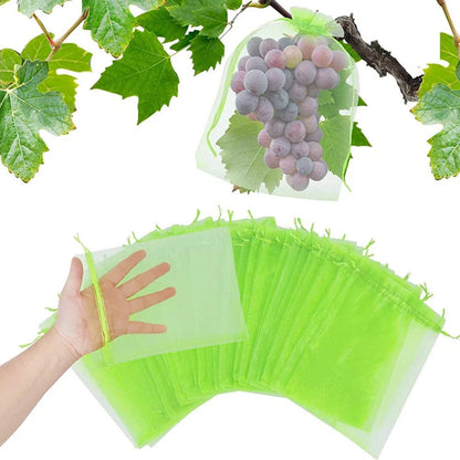 SearchFindOrder Fruit green / 10 x 15 cm(100PCS) Anti-Insect Garden Mesh Bags