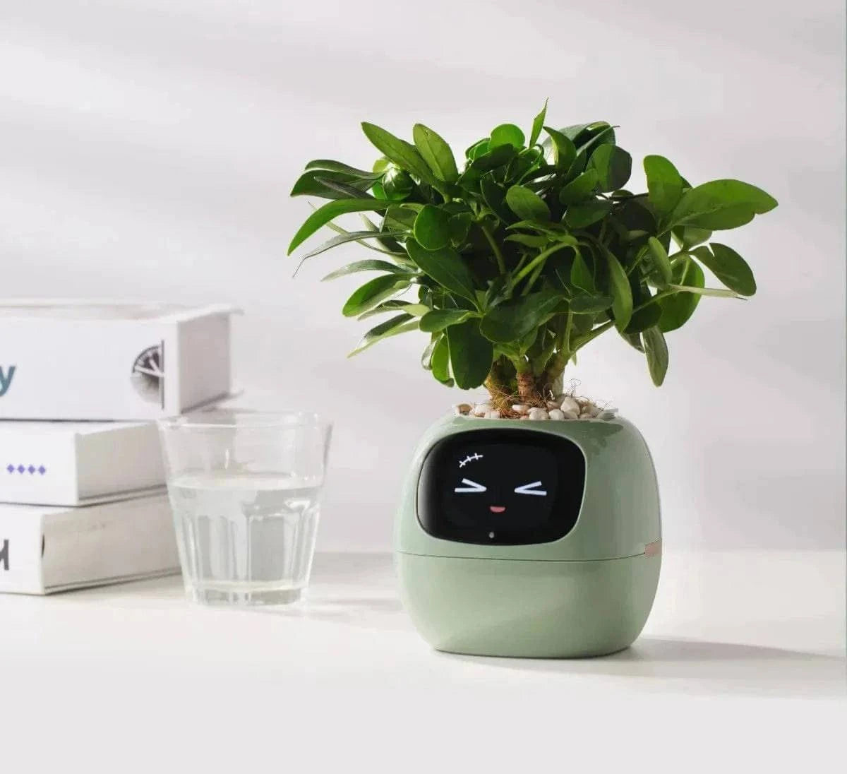 AI Plant Pot - Smart Shop (Online Store for wise shoppers) 