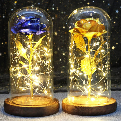 SearchFindOrder 8 Magic LED Eternal Enchanted Rose