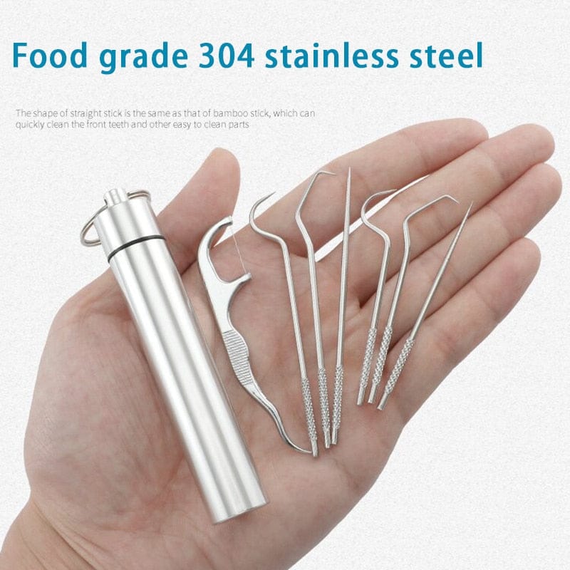 Portable Reusable Stainless-Steel Flossing and Toothpick Set