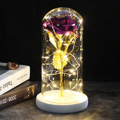 SearchFindOrder 13 Magic LED Eternal Enchanted Rose