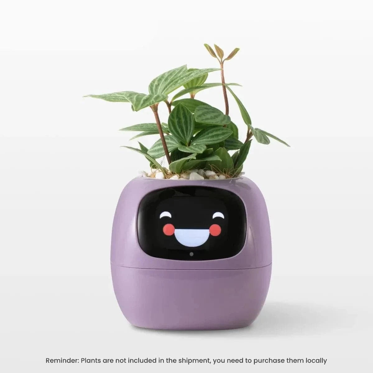 AI Plant Pot - Smart Shop (Online Store for wise shoppers) 