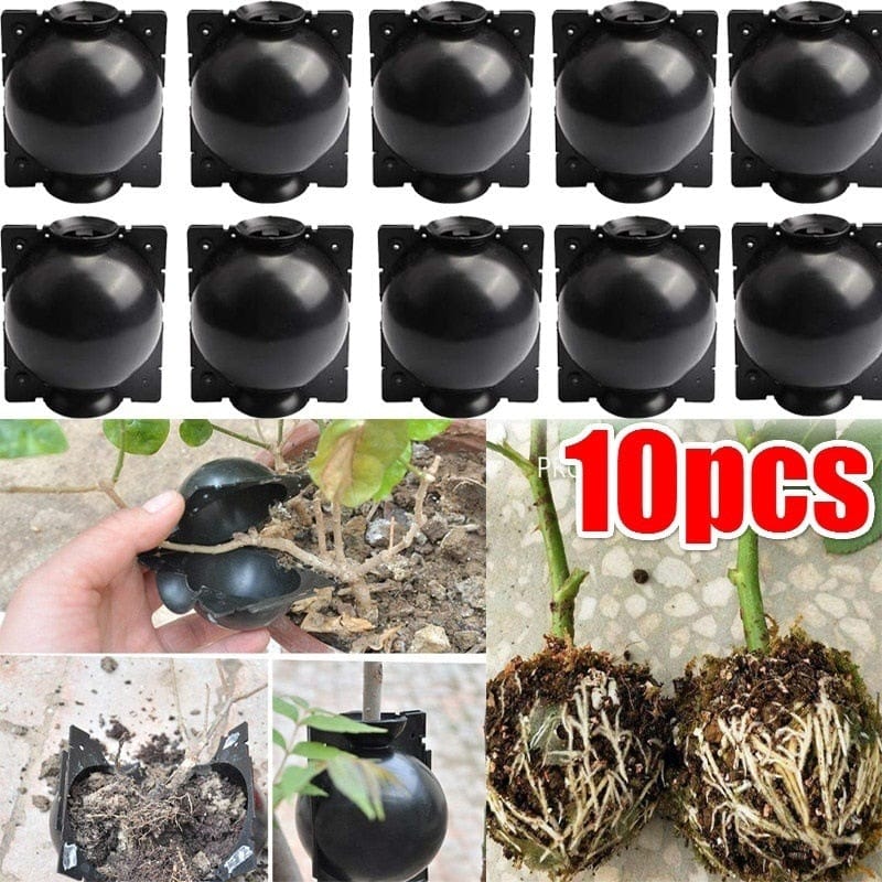 SearchFindOrder Reusable Plant Grafting Ball (10 pcs)