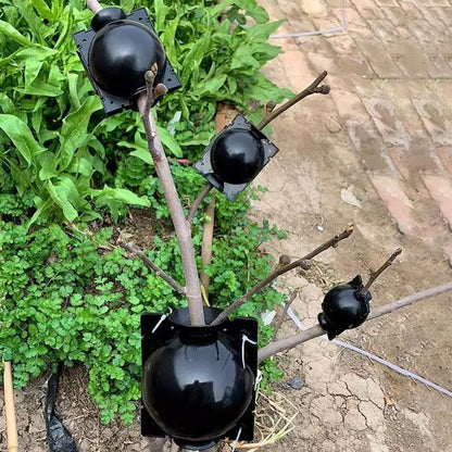 Reusable Plant Grafting Ball (10 pcs)