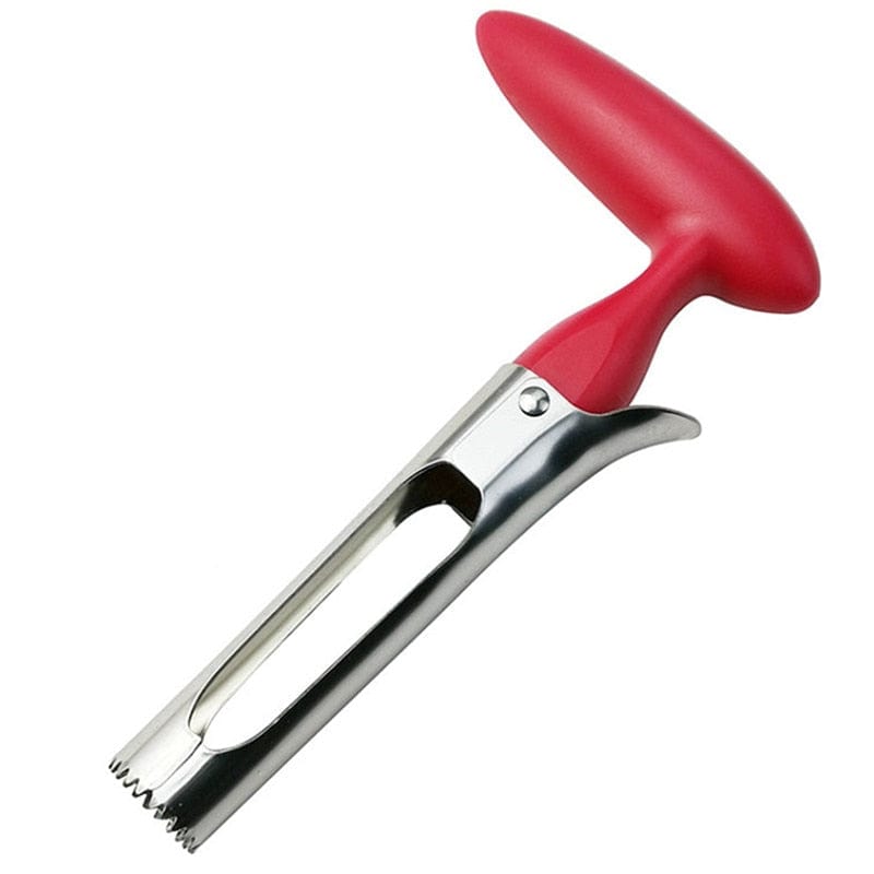 Stainless Steel Apple Corer Remover