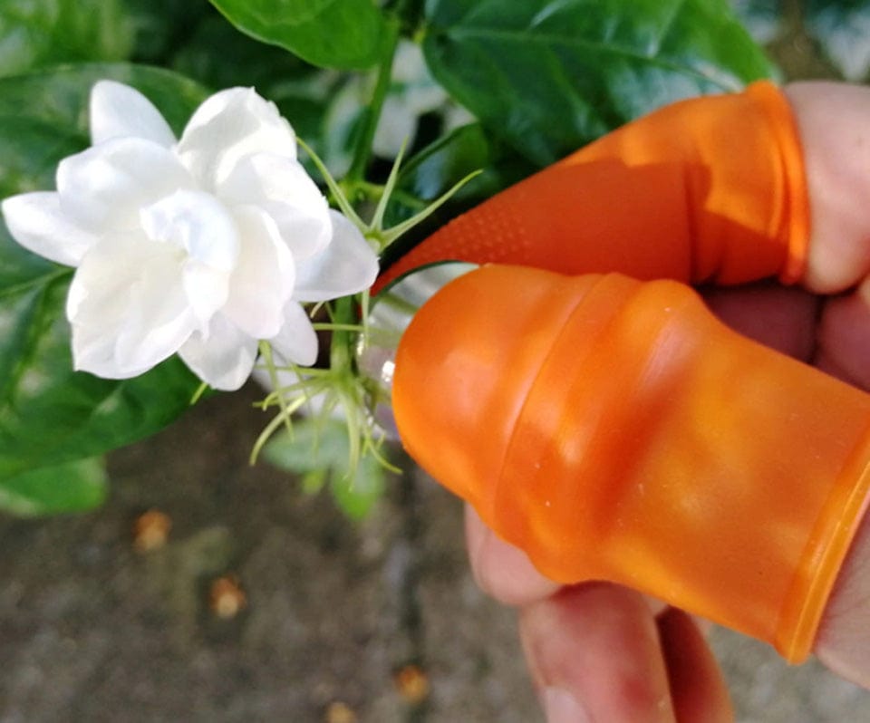 Thumb Picker Cutting Knife with Finger Protectors