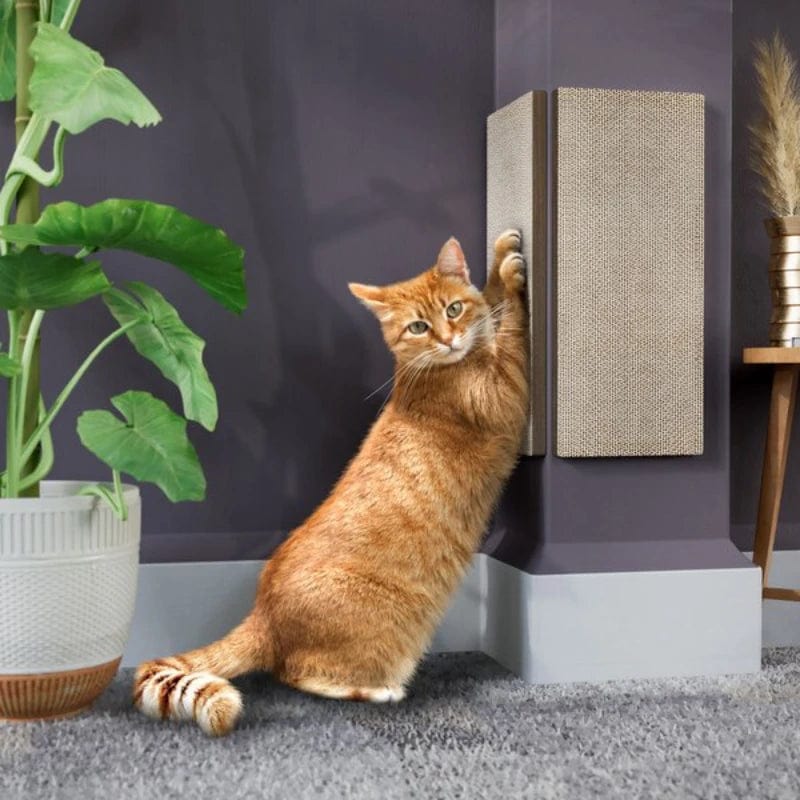 SearchFindOrder Wall White Wall and Couch Corner Cat Scratching Pad