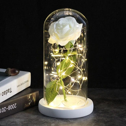 SearchFindOrder White A Magic LED Eternal Enchanted Rose